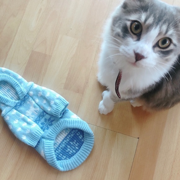 NWOT Puppy/Kitten Small Dogs Hooded Sweater🐶🐱❄️ - Picture 7 of 8